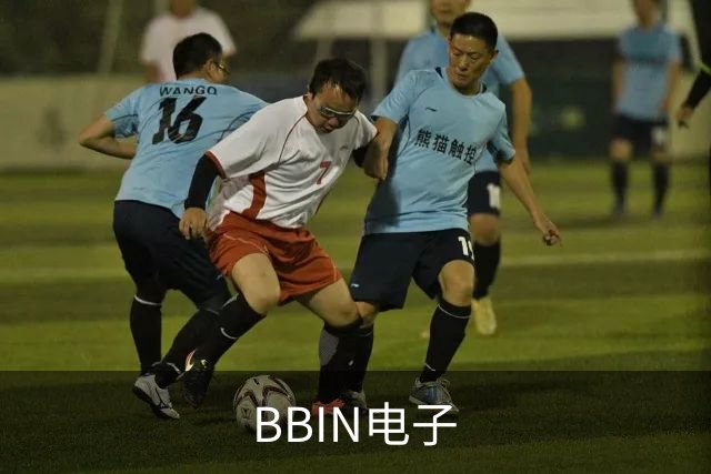 BBIN电子公司简介
